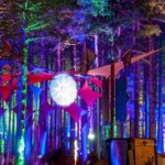 Electric Forrest Aftermovies